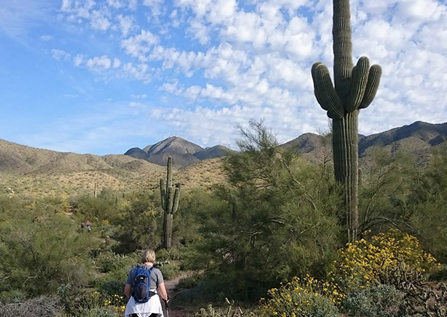 85259 Scottsdale lifestyle with desert and neighborhood setting