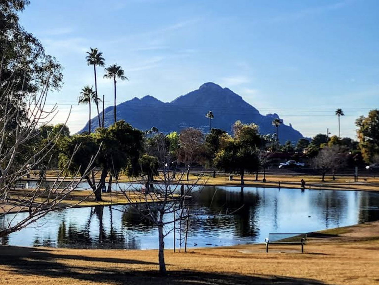 Park Scottsdale homes and neighborhood